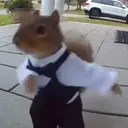 BELKA