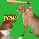 POW