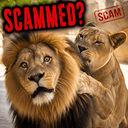 SCAMMER
