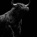 Bull