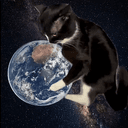KICKINGCAT