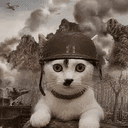 コマ