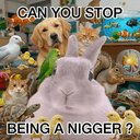 RACIST