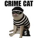 CRIMECAT