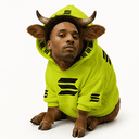 HOOD