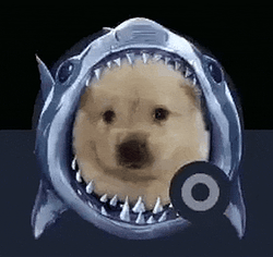 sharkdog