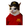 McCat