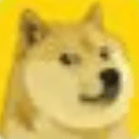 BARK
