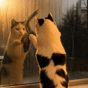 Pawblo