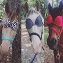 HorseWBra