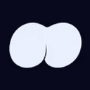 Asset