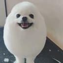 PomPom