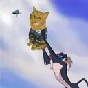 MEOW