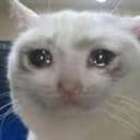 CryingCat