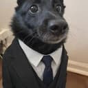 INUVEST