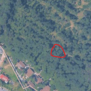 splace