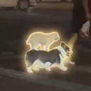 Dog²