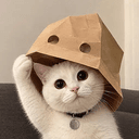 DCAT