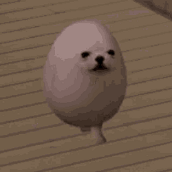 EGGDOG