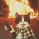 boomcat