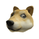 DOGE