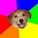 mDog