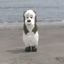 WanWan