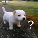 ?