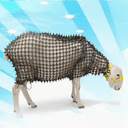 wSHEEP