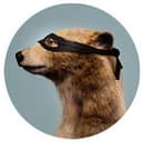 MaskedBear