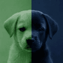 INU