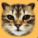 CAT⁠