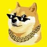 DogeX