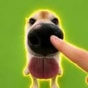 boop