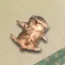 relax