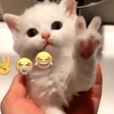 WCAT
