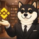 BSC GOGE