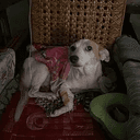 SAMANTHA
