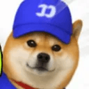 fomodog