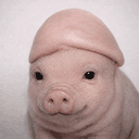 PP