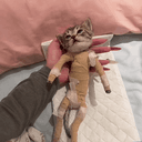 TCAT