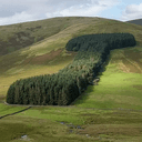 TREENIS