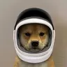 SPACEDOG