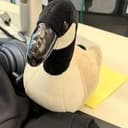 Mr.Goose