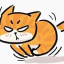 橘猫