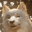 Koo