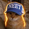 neetcat