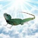 wLizard