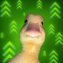 DIP