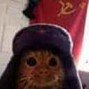 Sovicat